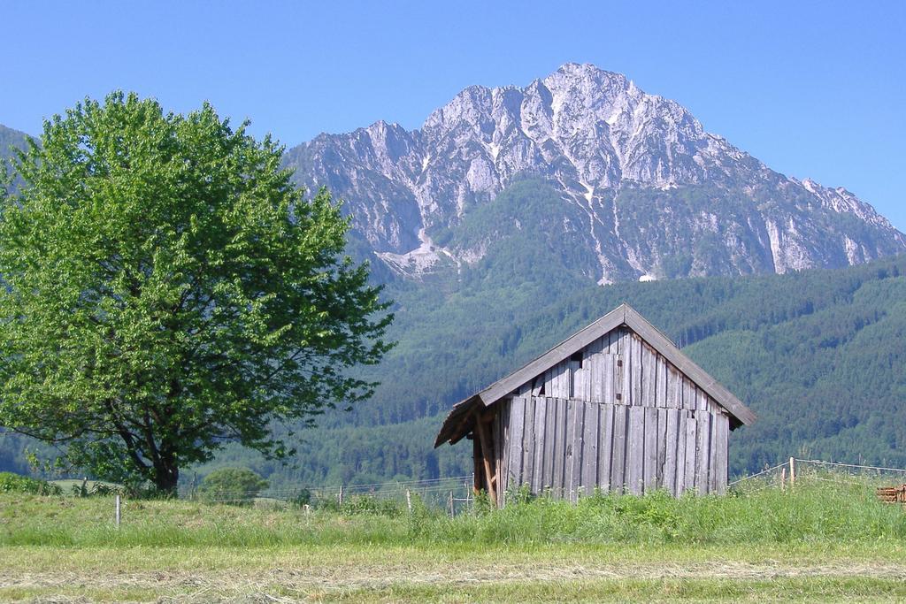 Fuerberger *