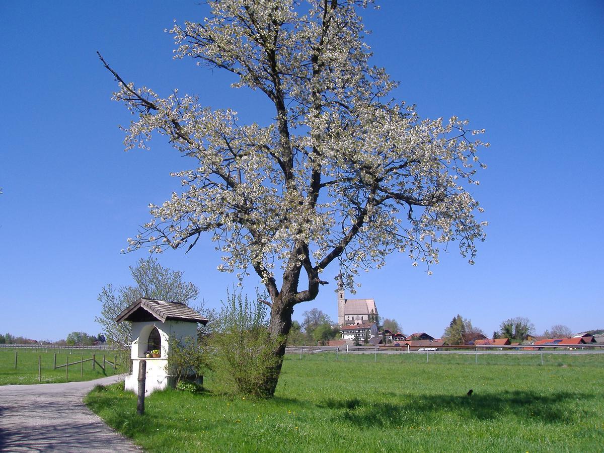 Fuerberger Apartment