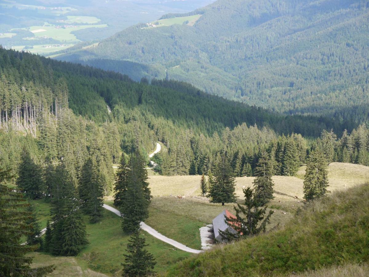 Apartment Fuerberger